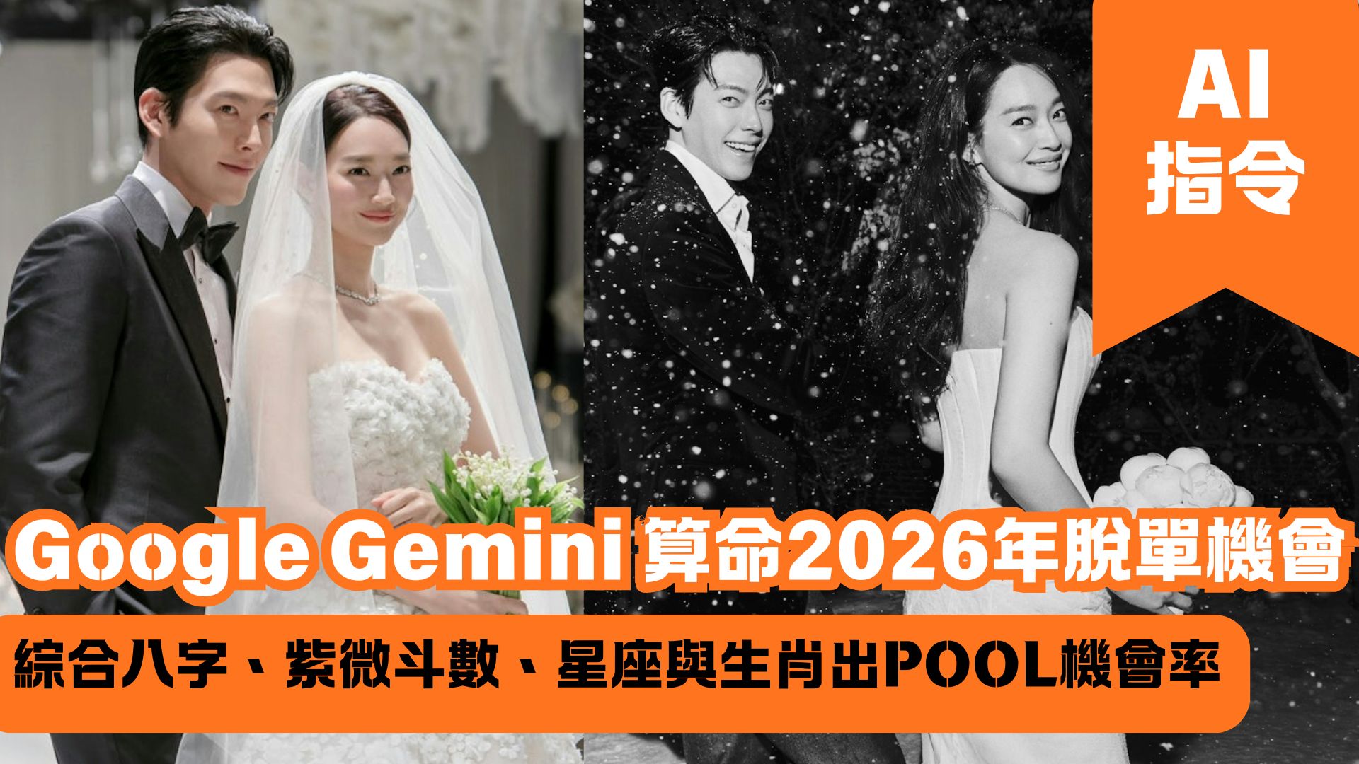 Google Gemini 算命2026年脫單機會 綜合八字、紫微斗數、星座與生肖出POOL機會率