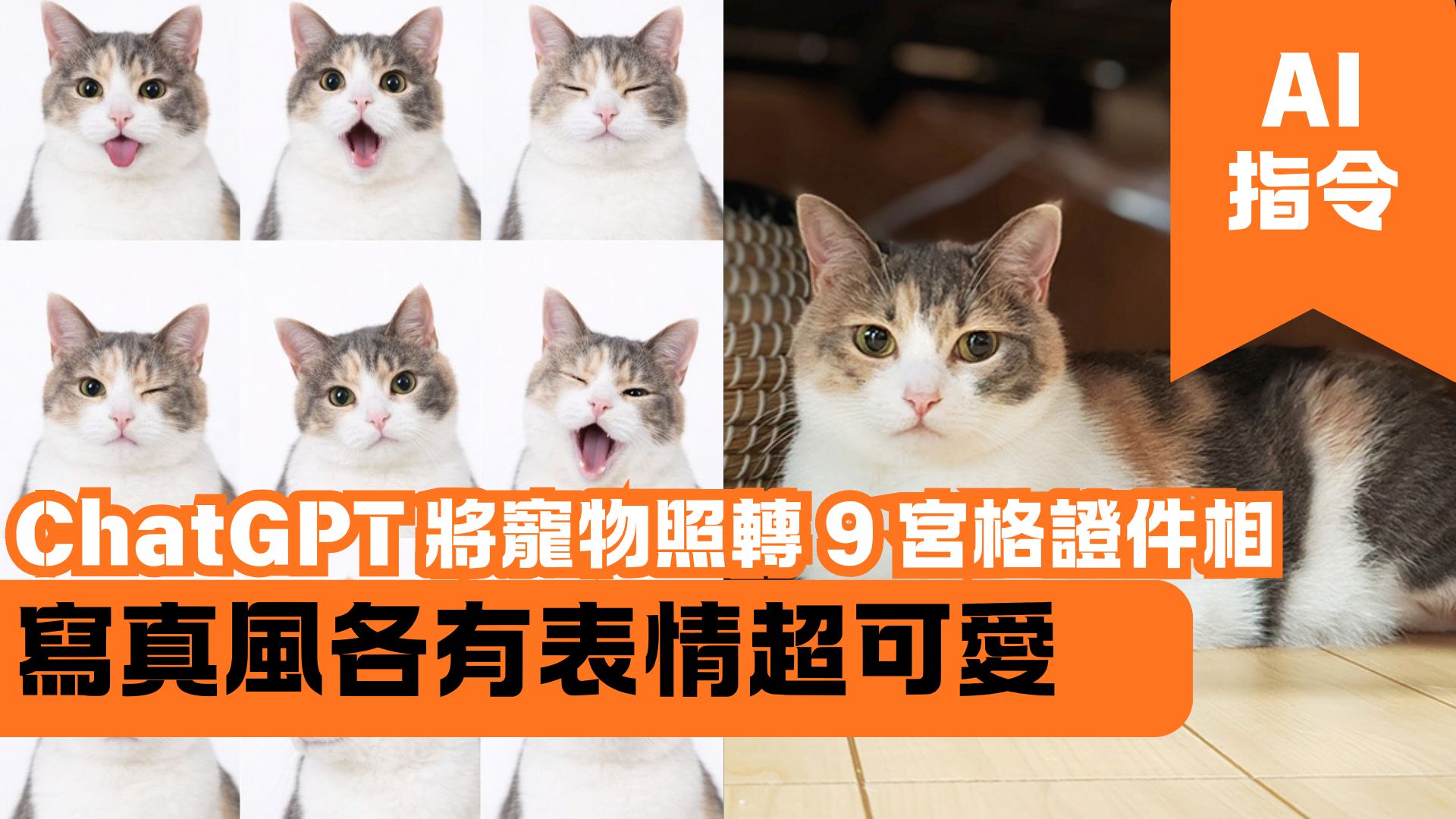 ChatGPT 將寵物照轉 9 宮格證件相 寫真風各有表情超可愛