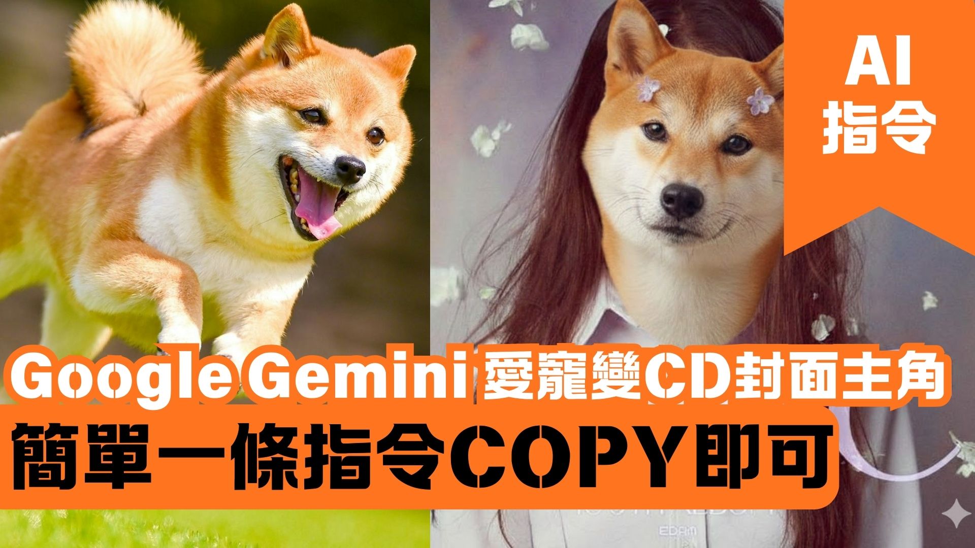 Google Gemini 愛寵變CD封面主角 簡單一條指令COPY即可