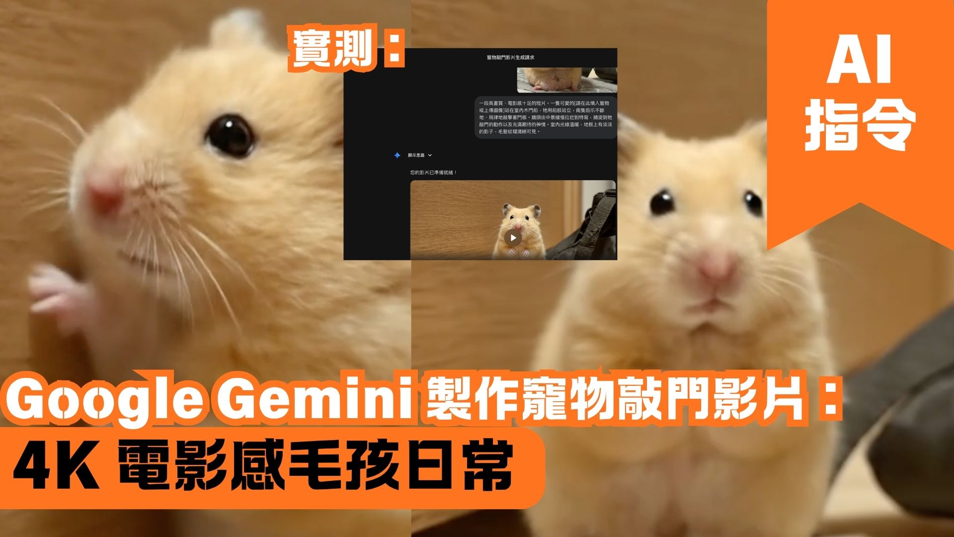 Google Gemini 製作寵物敲門影片：4K 電影感毛孩日常